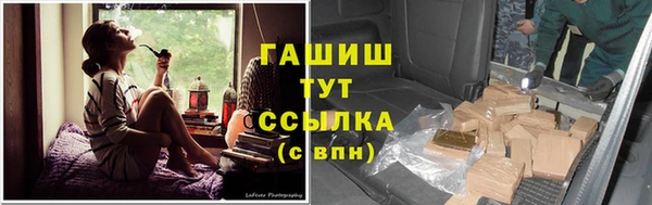 эйфоретик Алзамай