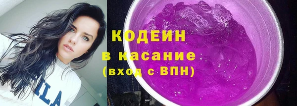 соль ск Кукмор